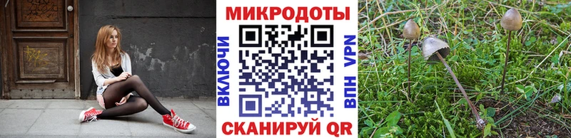 Псилоцибиновые грибы мухоморы  Купить где  Ленинск 