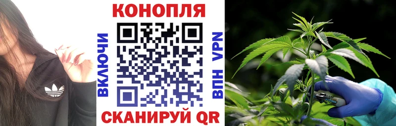 Канабис ГИДРОПОН  Купить  Ленинск 